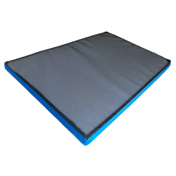 MATA DEZYNFEKCYJNA PRZEJŚCIOWA WZMOCNIONA 120 x 200 x 5 cm